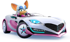 Sonic Racing Rouge