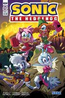 Sonic the Hedgehog #46 (October 2021). Art by Jennifer Hernandez.