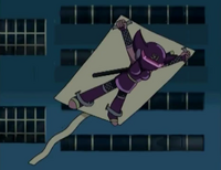 Ninja kite