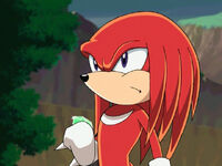 A002knuckles