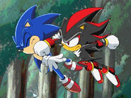 Sonic-Shadow-sonic-shadow-and-silver-30120872-640-480