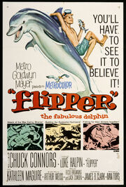 Flipper (1963)