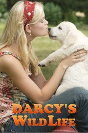 Darcy's Wild Life