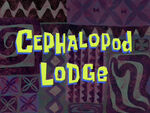 Cephalopod Lodge