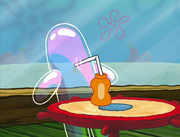 Bubble Buddy 064