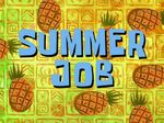 Summer Job