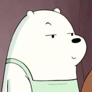 Ice Bear