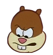 Sandy Cheeks's Face in the Spongebob Episode Sleepy Time