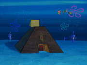 Cephalopod Lodge 197