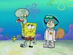 SquidBob TentaclePants 051