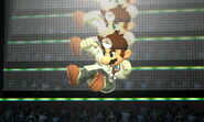 Dr. Mario's neutral air; it is a sex kick.