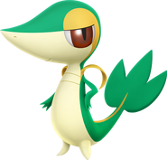 PP2 Snivy