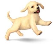 The Nintendog's concept art in Brawl.