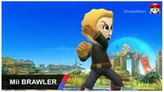 Mii Brawler Intro