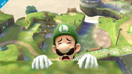 Luigi grabbing a ledge.