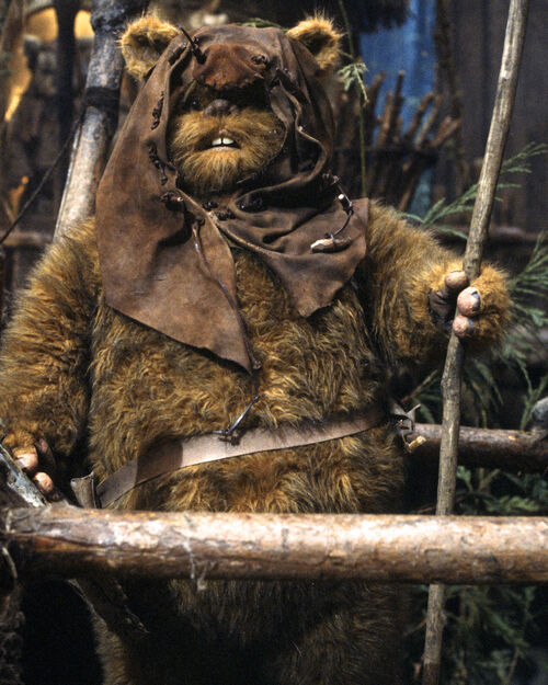 Romba the Ewok