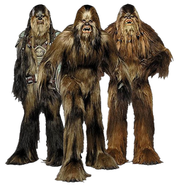 Wookiees-Transparent