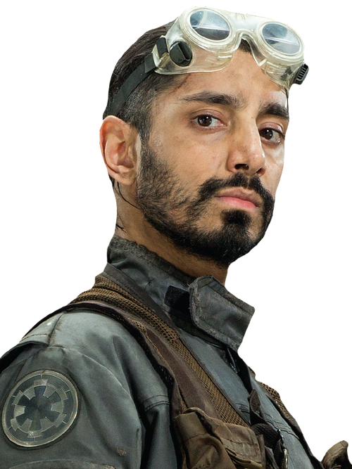 Bodhi Rook Fathead