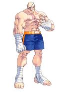 Sagat in Street Fighter Alpha 2.