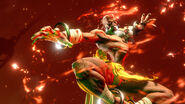 Dhalsim's Critical Art