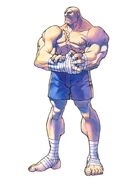 Sagat in Street Fighter Alpha: Warriors' Dreams.