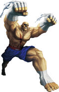 Sagat in Street Fighter X Tekken.