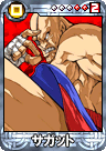 Sagat's card in SNK vs. Capcom: Card Fighters Clash DS.