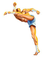 Full-body artwork in Street Fighter II.