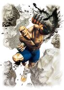 Super Street Fighter IV character artwork.