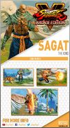 SagatCard