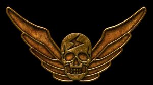 Shadaloo Logo