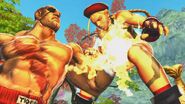 Sagat delivering a Tiger Uppercut to Cammy during Tiger Genocide.