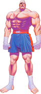 Sagat in Super Street Fighter II.