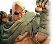 Sagat