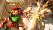 Cammy's main anti-air attack, Cannon Spike