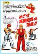 Ryu and Ken flyer.