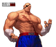 Sagat in Street Fighter: Duel.