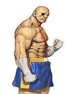 Sagat in Capcom vs. SNK.