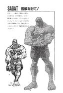 Sagat concept art from Street Fighter Zero - Settings material.