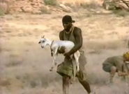 Clarence with a goat for Boran (Africa).