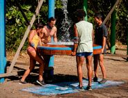 Sele competes in the Immunity Challenge, Dishwalla.