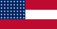 A 48-star variant of the "Stars and Bars"