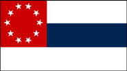 Another variant of the 10-star flag