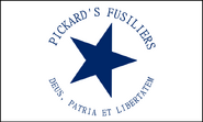 Battle Flag of the 1st Zarkan Kingdom Fusiliers - "Pickard's Fusiliers"