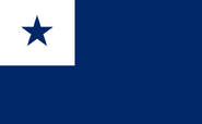 The "Blue Star Banner", a failed Confederate national flag proposal, though saw continued use in an unofficial basis, was used as a generic War Flag flown by many different units.