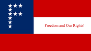 The "Freedom and Our Rights!" flag, a variant of the 10-star "Stars and Bars", used as the Battle Flag of the 11th Westland Infantry Division