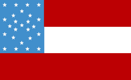 The "James F. Davidson flag", a 25-star variant of the "Stars and Bars", made by Captain James F. Davidson of the pro-Confederate Wekland State Guards, and used as the miltia's Battle Flag, also flown by rioters during the Union City Conscription Riot