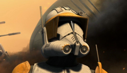 Commander Cody