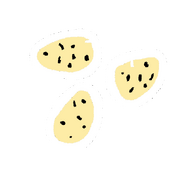 Eggs