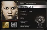 Tribute Identification Card